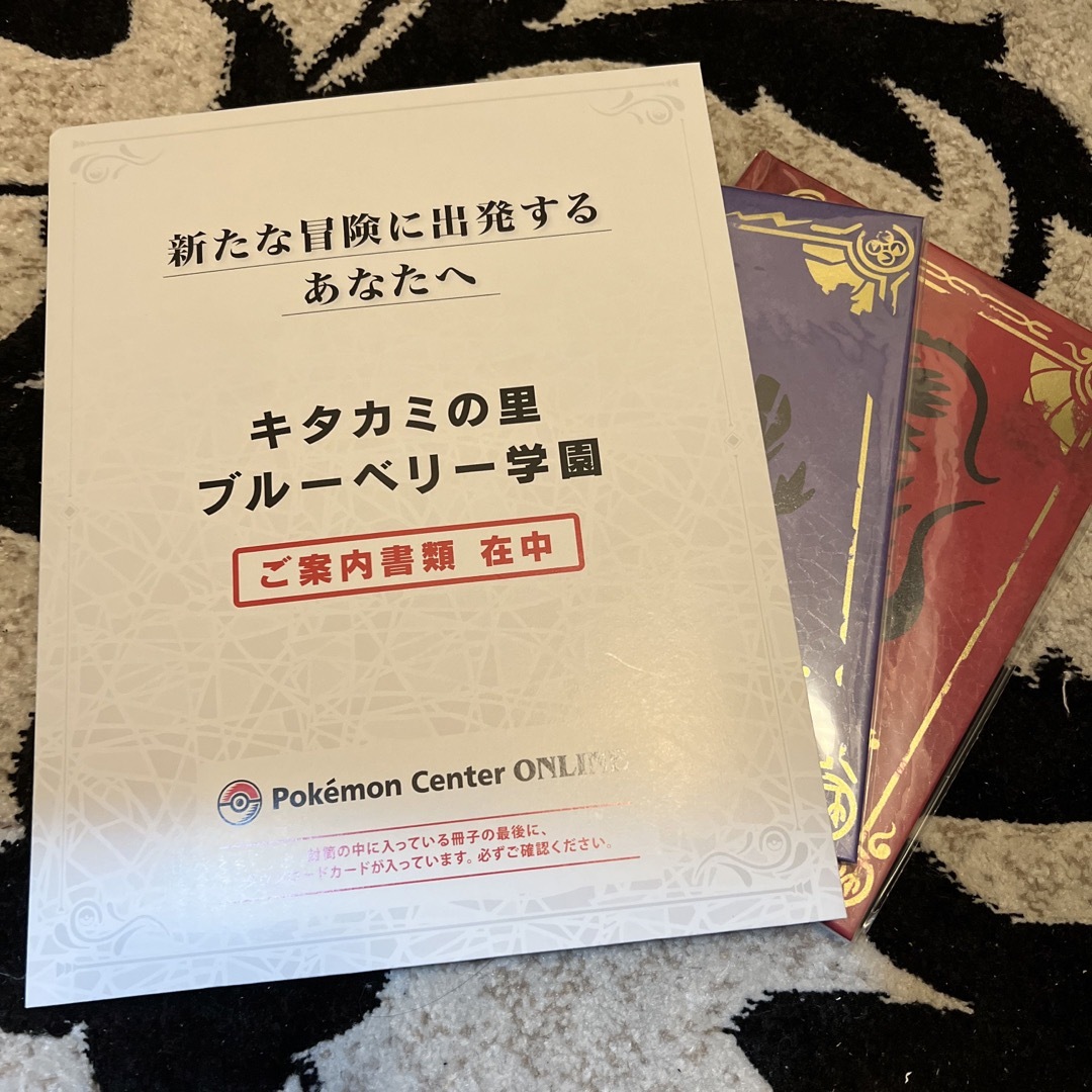 スカーレット バイオレット ゼロの秘宝 新品未開封品 ダウンロードコード