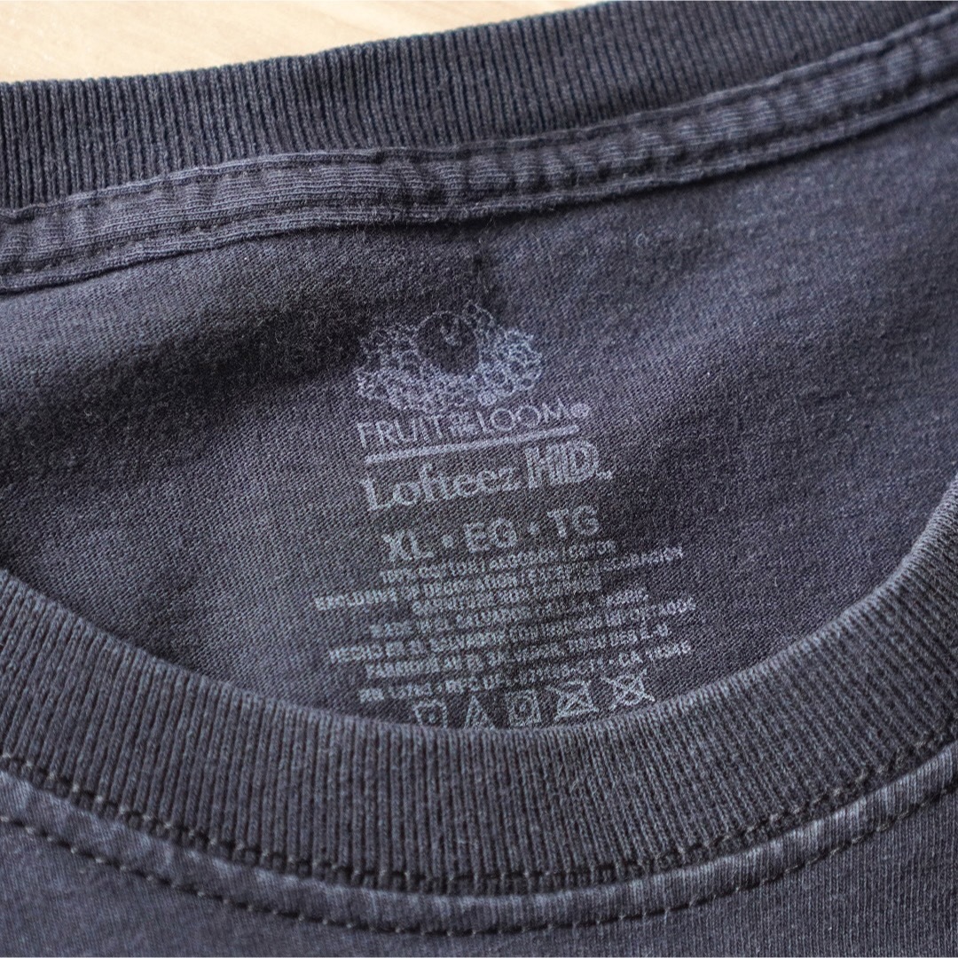 2013  フルーツオブザルーム プリントTシャツ XL