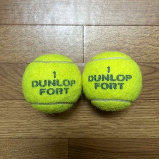 ダンロップ(DUNLOP)のダンロップテニスボール　2個    送料無料(その他)