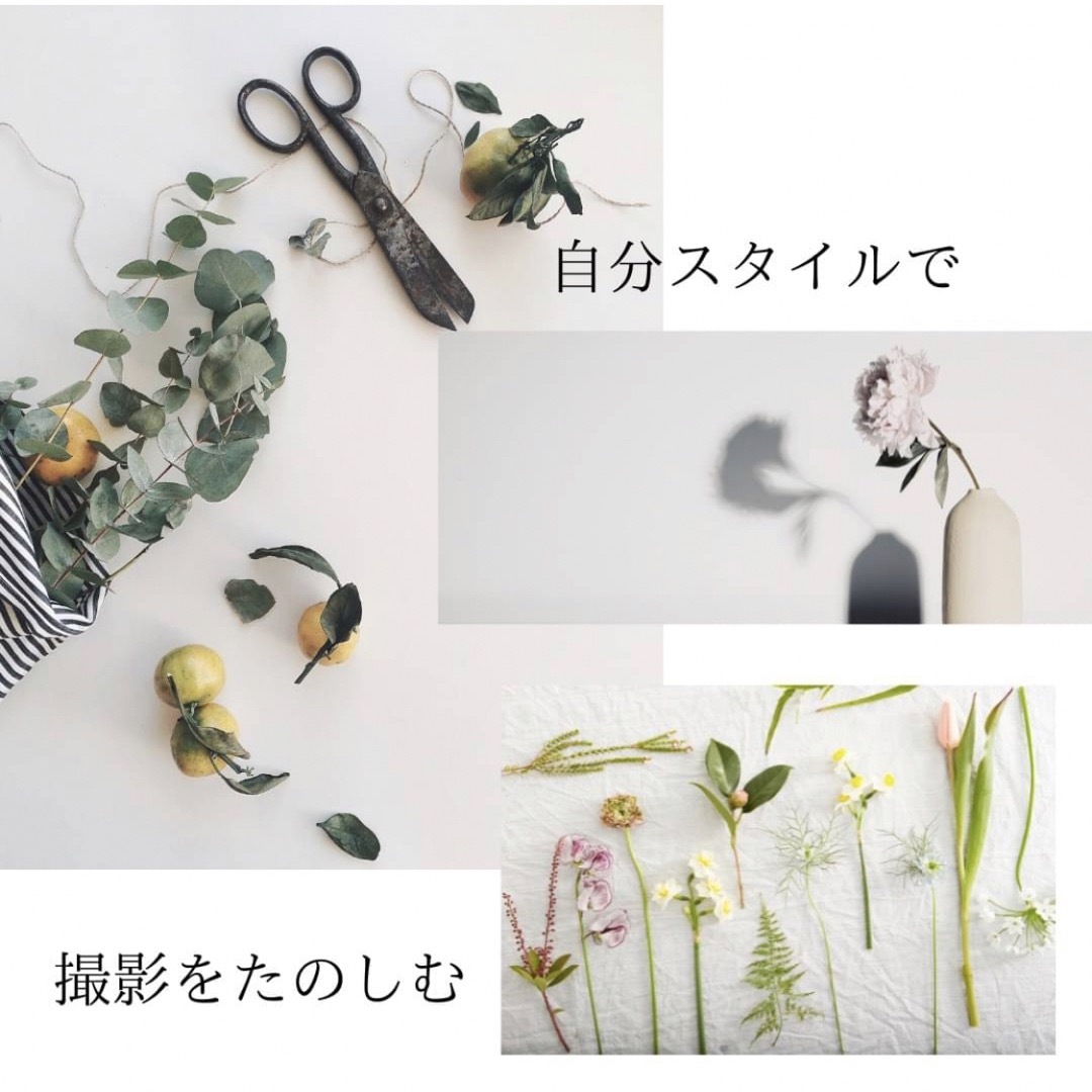 おうちスタジオ 背景布 白 ホワイト150×200 誕生日 装飾 撮影用 韓国