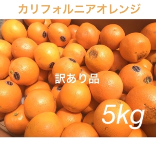 カリフォルニアオレンジ　訳あり品　5kg フルーツ　果物(フルーツ)