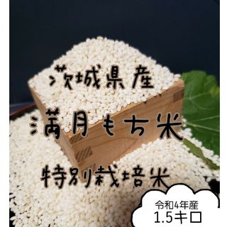 (2-5)　満月もち米　1.5キロ　令和4年産　餅米(米/穀物)