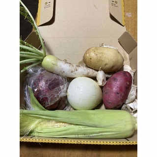 農薬不使用野菜セット香川県産、コンパクトBOXいっぱい(野菜)