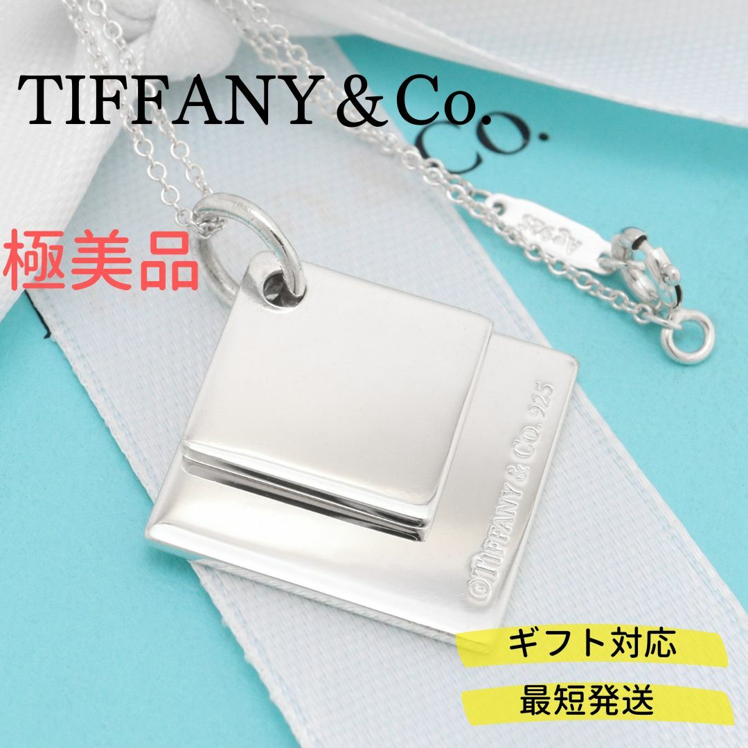 【極美品】TIFFANY&Co. ダブル スクエア プレート ネックレス