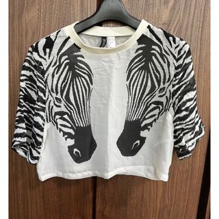 エイチアンドエム(H&M)のH&M エイチアンドエム　Tシャツ　タグなし新品(Tシャツ(半袖/袖なし))