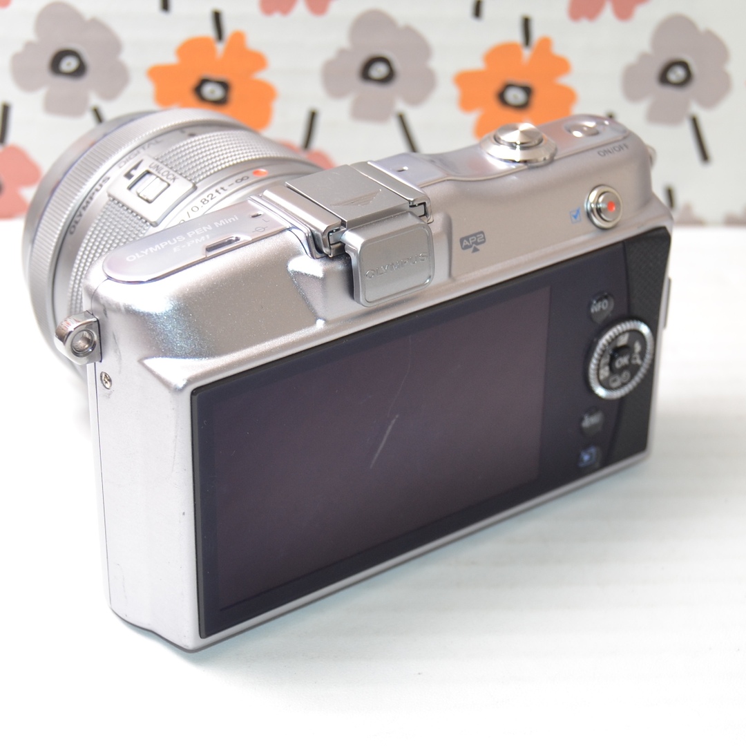 ❤WiFi SDカード付き❤ オリンパス PM1 ミラーレスカメラ
