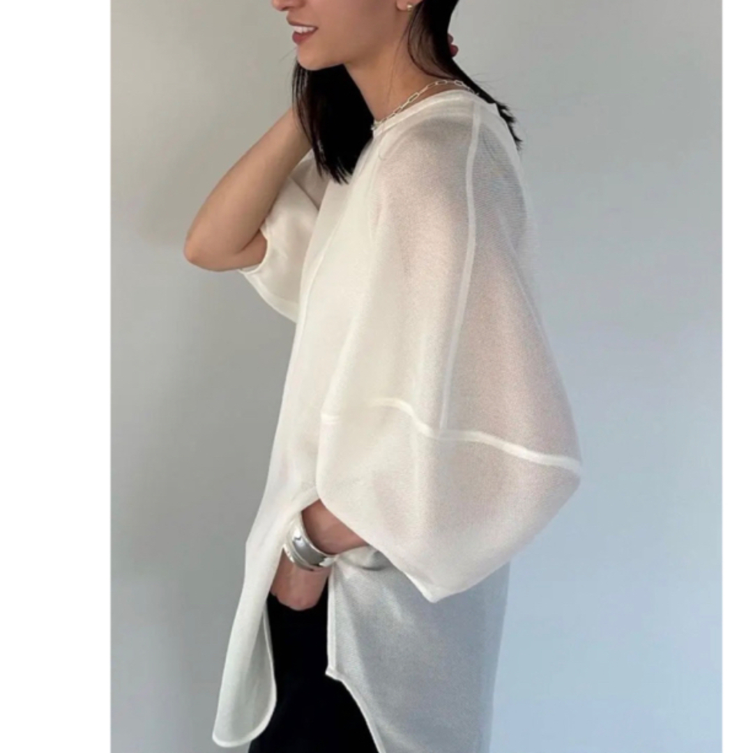 CLANE MESH FORM SLEEVE BLOUSE