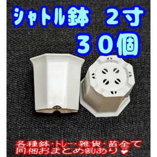 シャトル鉢【2寸】30個 プラ鉢 八角鉢 スリット鉢 プレステラ 多肉植物(プランター)