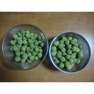 白加賀梅　2kg(フルーツ)