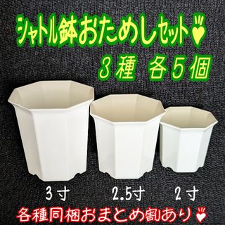 シャトル鉢おためしセット♪ 【3種各5個】プラ鉢八角鉢スリット鉢プレステラ多肉(プランター)