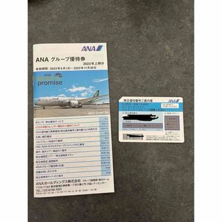 エーエヌエー(ゼンニッポンクウユ)(ANA(全日本空輸))のANA 株主優待券×1枚 冊子付き(航空券)