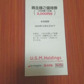 マルエツ カスミ マックスバリュ 株主優待券3000円分 2023年12月31迄(その他)