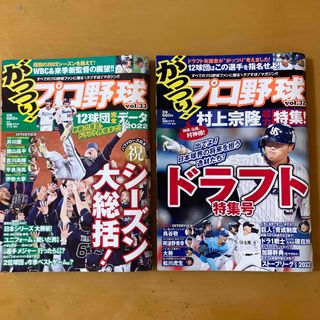 がっつり!プロ野球 vol.33 、32(趣味/スポーツ)