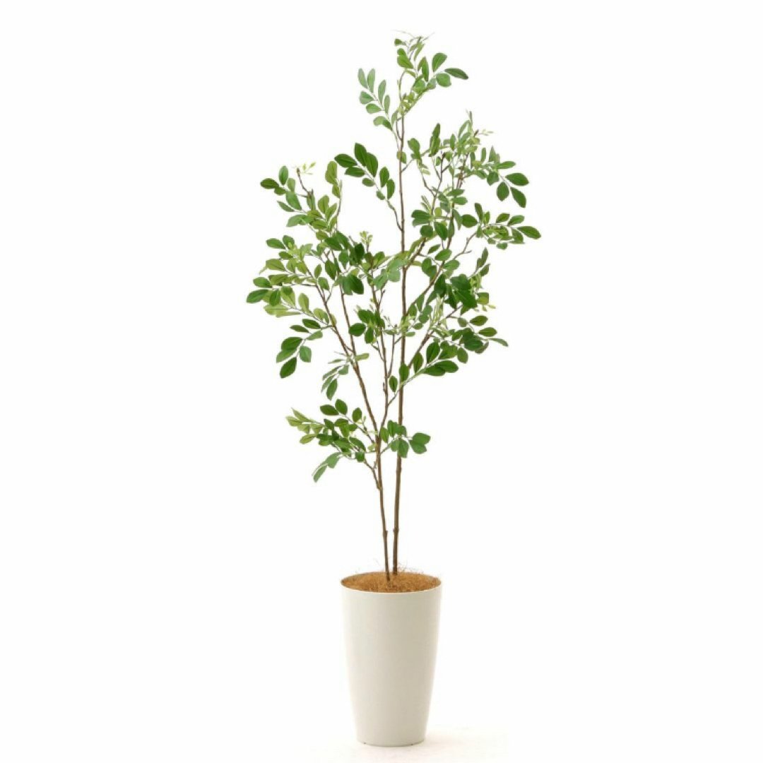 光触媒　人工観葉植物　ウォールグリーン　フェイクグリーン　シマトネリコ110