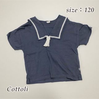 フタフタ(futafuta)の【バースデイ】Cottoli コトリ セーラー襟 半袖Tシャツ 120(Tシャツ/カットソー)