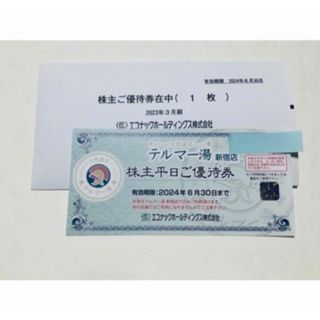 テルマー湯　チケット　1枚(その他)