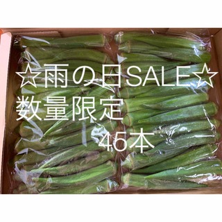 雨の日SALE！鹿児島県産おくら　45本(野菜)