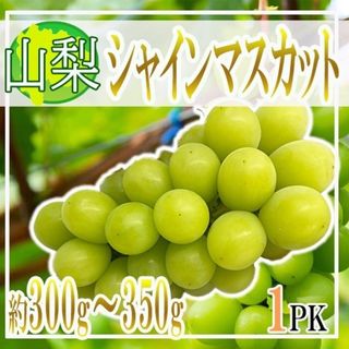 山梨県産　シャインマスカット　1パック約300-350g　クール便発送(フルーツ)