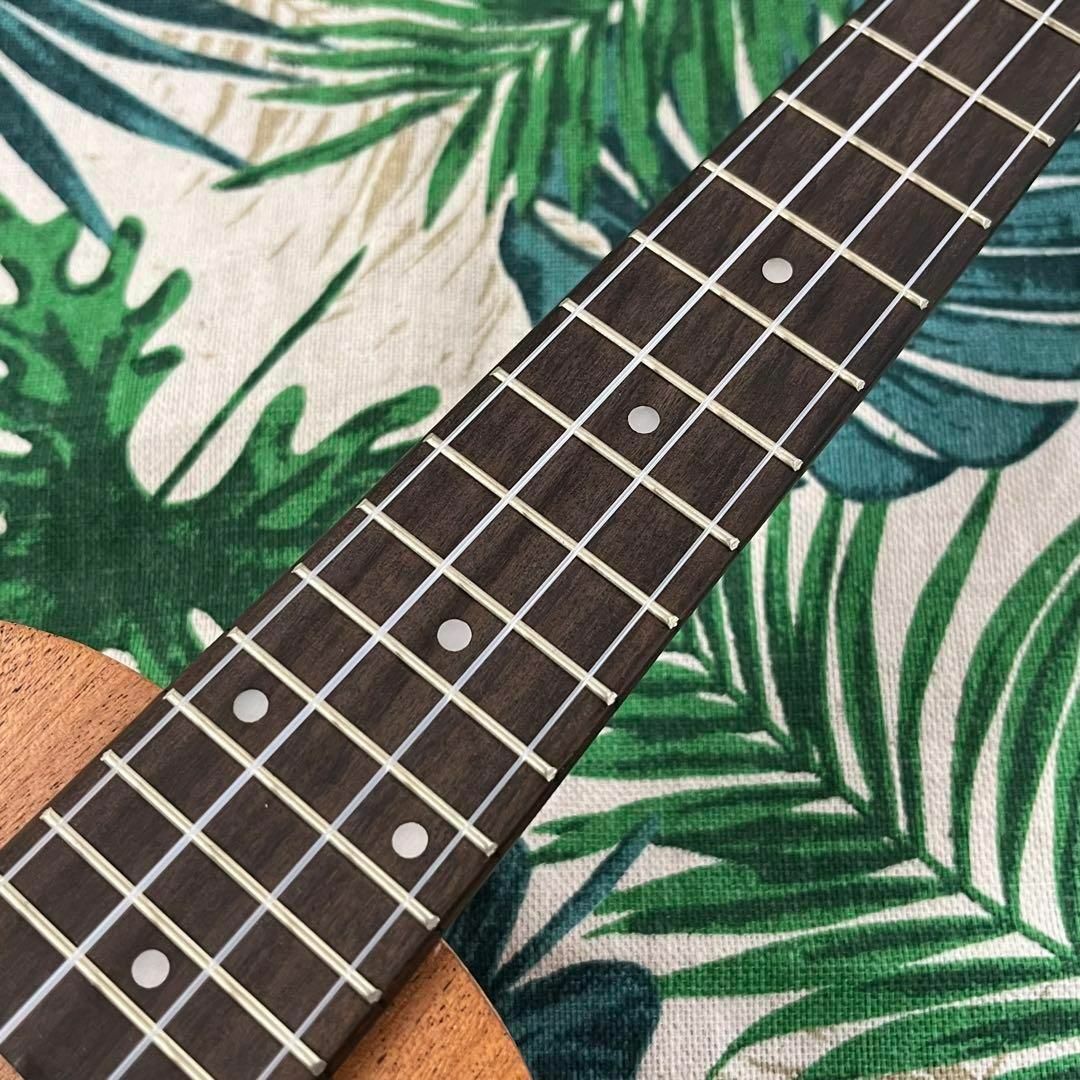 【music ukulele】ドルフィン・エレキソプラノウクレレ【UK専門店】