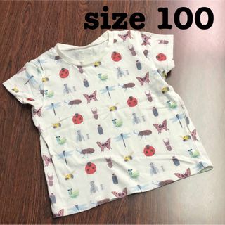 インセクトコレクション(INSECT　COLLECTION)のINSECT COLLECTION  Tシャツ　M（100 -110）昆虫柄(Tシャツ/カットソー)