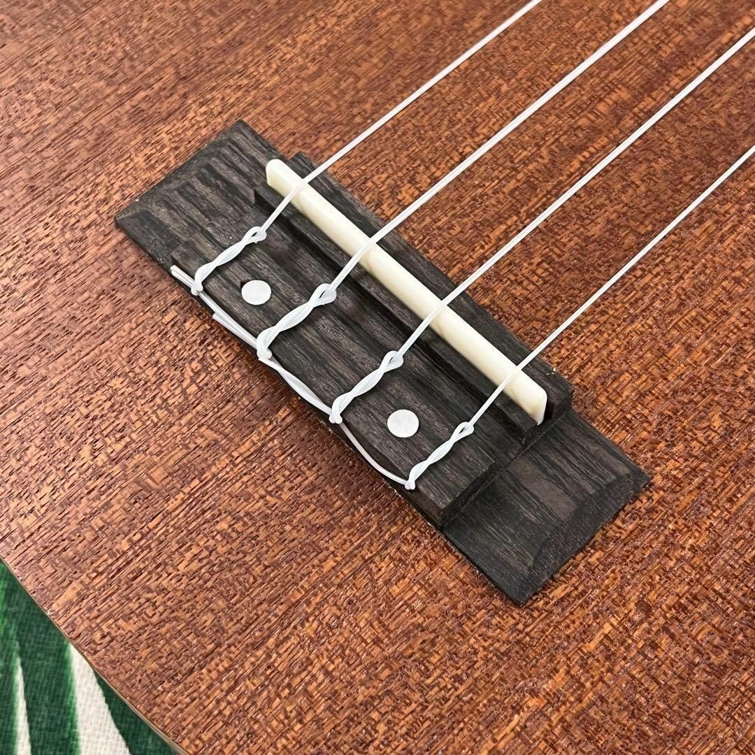 【Aiersi】ドルフィンホールのエレキ・ソプラノウクレレ【ukulele】 2