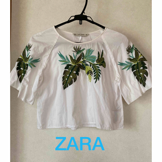 ザラ(ZARA)のZARA  BASIC  ボタニカル半袖ブラウス(シャツ/ブラウス(半袖/袖なし))