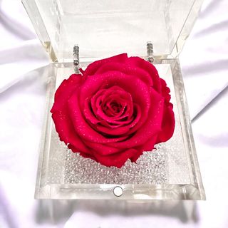 スペシャルオファ ❤️ROSE GALLERY❤️ミュゼ ダイヤモンドローズ