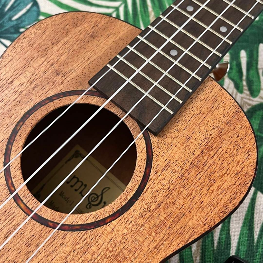 入門セット】musicのマホガニー材単板・コンサートウクレレ【ウクレレ