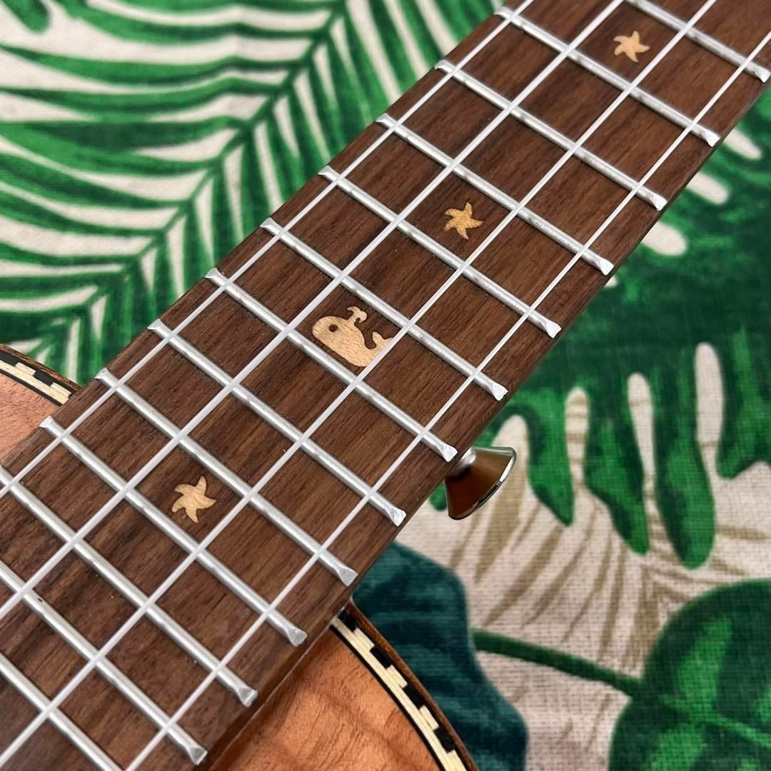 Kmise ukulele】カーリーマホガニーのエレキ・コンサートウクレレ