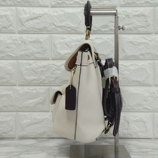 【新品未使用】 COACH コーチ リア バックパック 21 カラーブロック ②