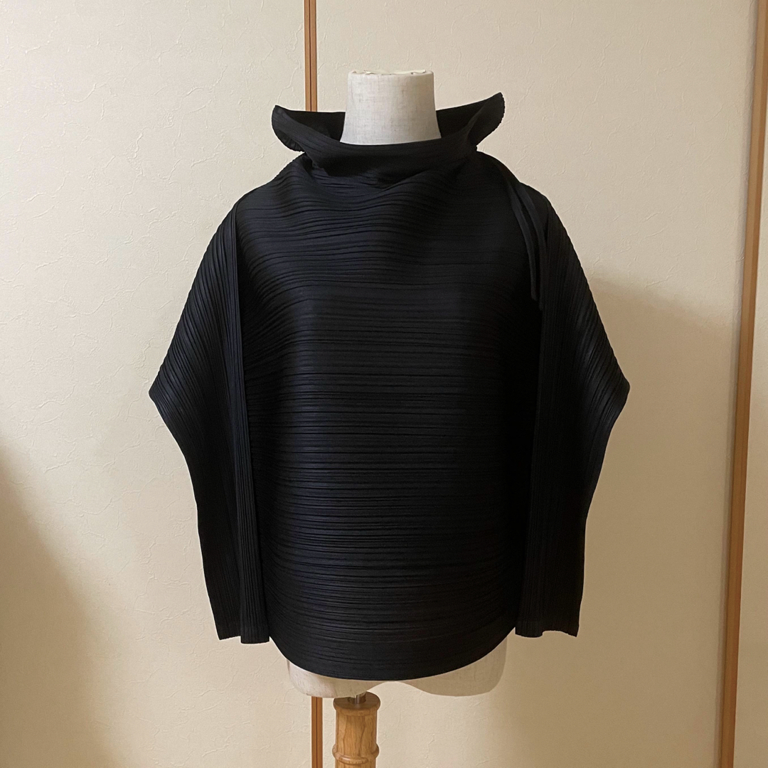 PLEATS PLEASE ISSEY MIYAKE(プリーツプリーズイッセイミヤケ)の新品タグ付き　プリーツプリーズ　横プリーツ　トップス　カットソー レディースのトップス(カットソー(長袖/七分))の商品写真