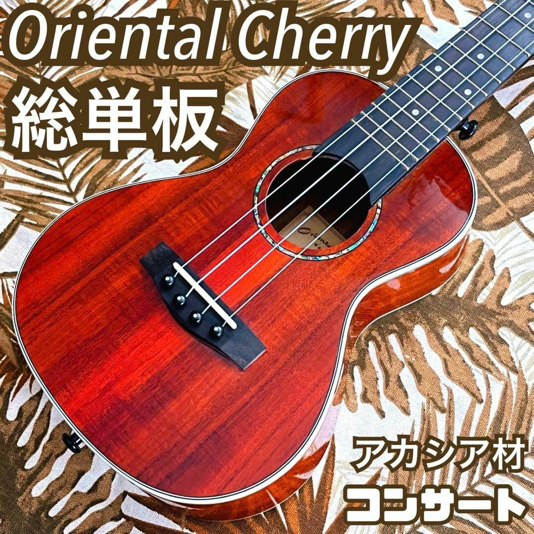 【oriental Cherry】アカシア単板のコンサートウクレレ【UK専門店】