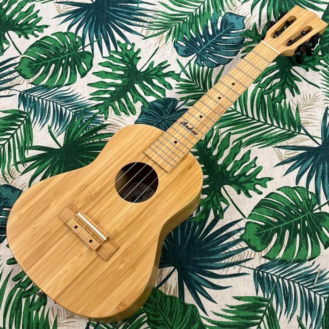【Andrew ukulele】オールバンブー(竹)のエレキ・コンサートウクレレ 1