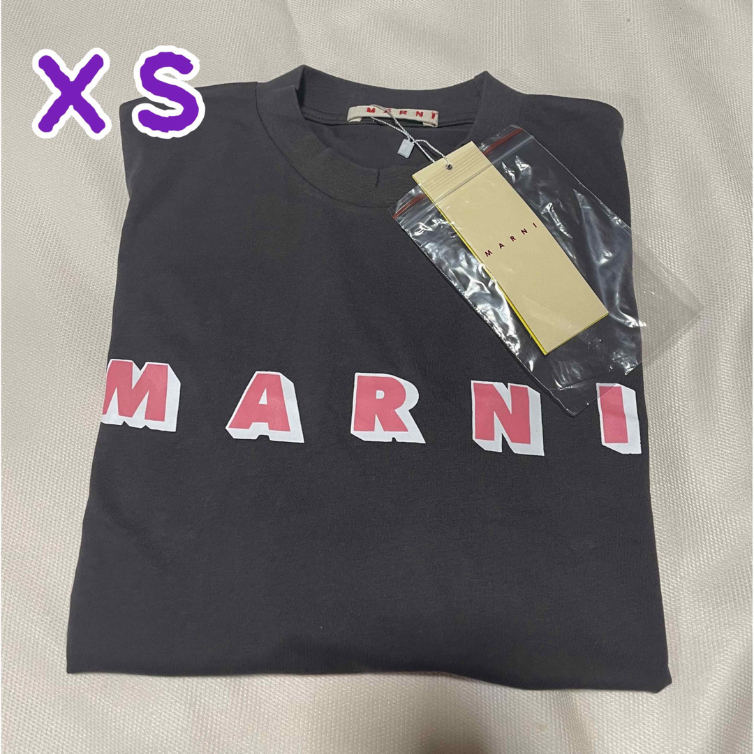 新品タグ付 MARNIマルニ 半袖ロゴTシャツ XS 38サイズ - Tシャツ(半袖 ...