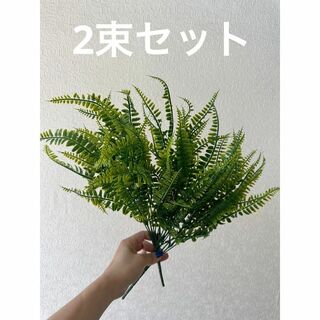 まとめ売り光触媒人工植物フェイクグリーンワラビ2束セット　鑑賞植物(プリザーブドフラワー)