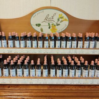 ニールズヤード(NEAL'S YARD)のちゅーま様専用■3.ビーチ7.チェストナットバッド■1470+1420=2890(その他)