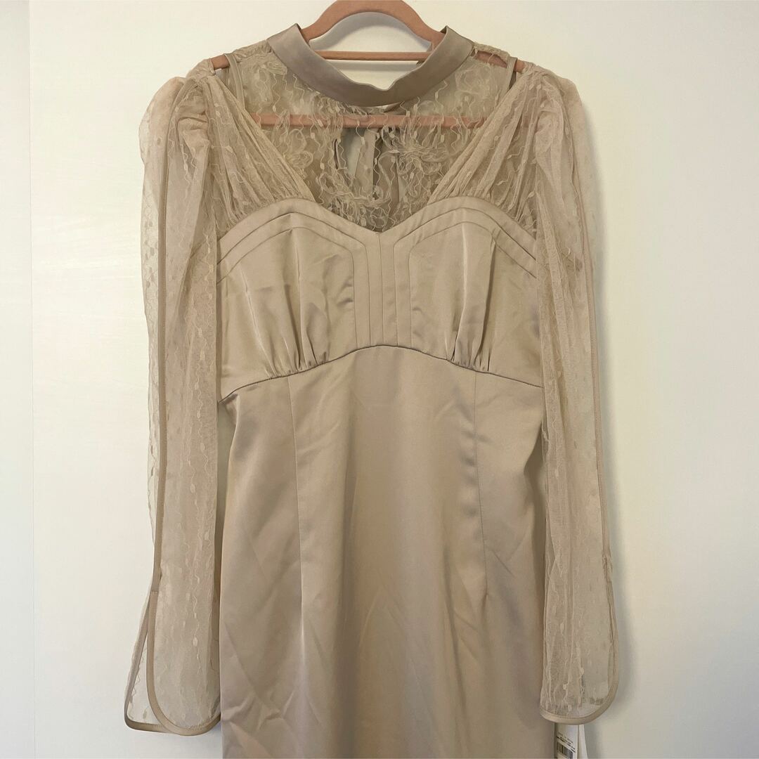 Lily Brown - 【新品未使用品】LILY BROWN 刺繍チュールサテン Lily Brown - 【新品未使用品】LILY BROWN 刺繍チュールサテン