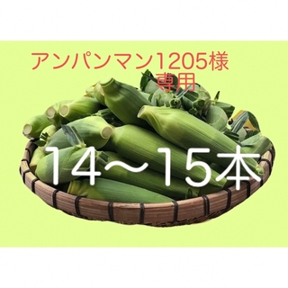 ゴールドラッシュ　トウモロコシ　アンパンマン1205様(野菜)