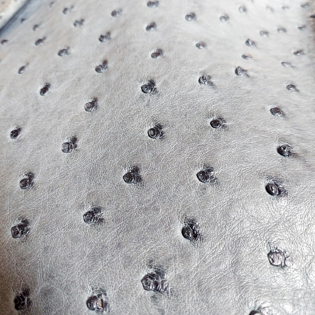 希少色✦オーストリッチ 本革レザー ハンドバッグ ショルダーバッグ ヴィンテージ レディースのバッグ(ショルダーバッグ)の商品写真