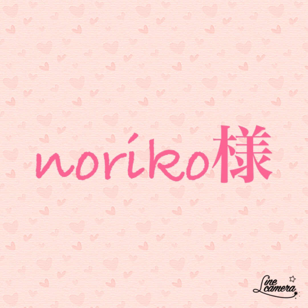 noriko様専用ページの通販 by nipeco's shop|ラクマ