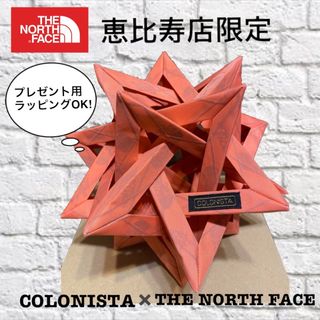 THE NORTH FACE - 店頭完売COLONISTA×THE NORTH FACE CONPE10 CO の