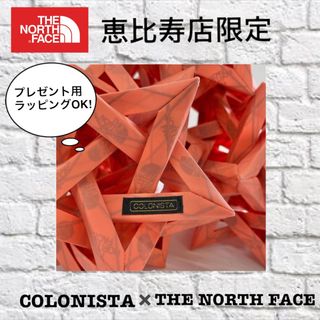 THE NORTH FACE - 店頭完売COLONISTA×THE NORTH FACE CONPE10 CO の