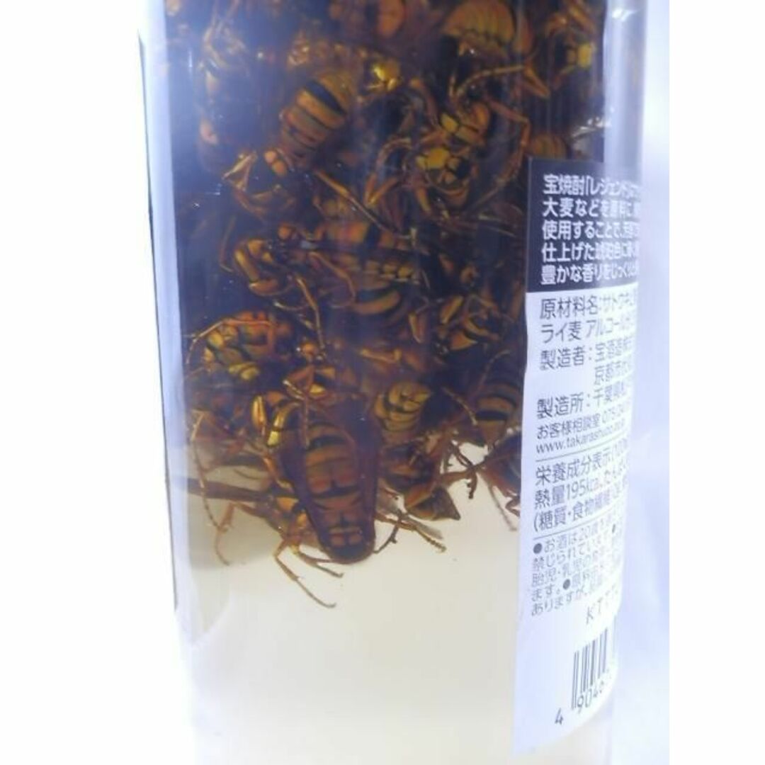 キイロズメバチ レジェンド宝焼酎 100匹 2022/10/7