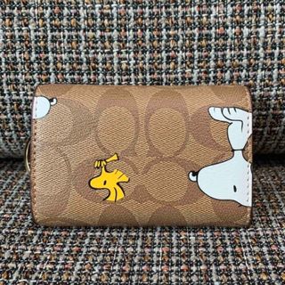 COACHコーチ　長財布+キーケース　セット　レディース　スヌーピー　新品