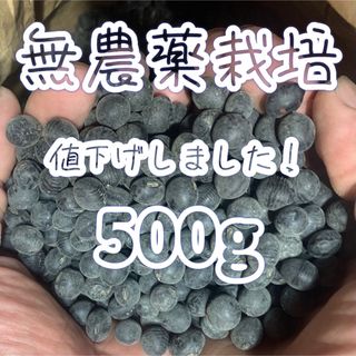 丹波黒豆【無農薬栽培】(野菜)