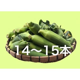 ゴールドラッシュ　トウモロコシ(野菜)