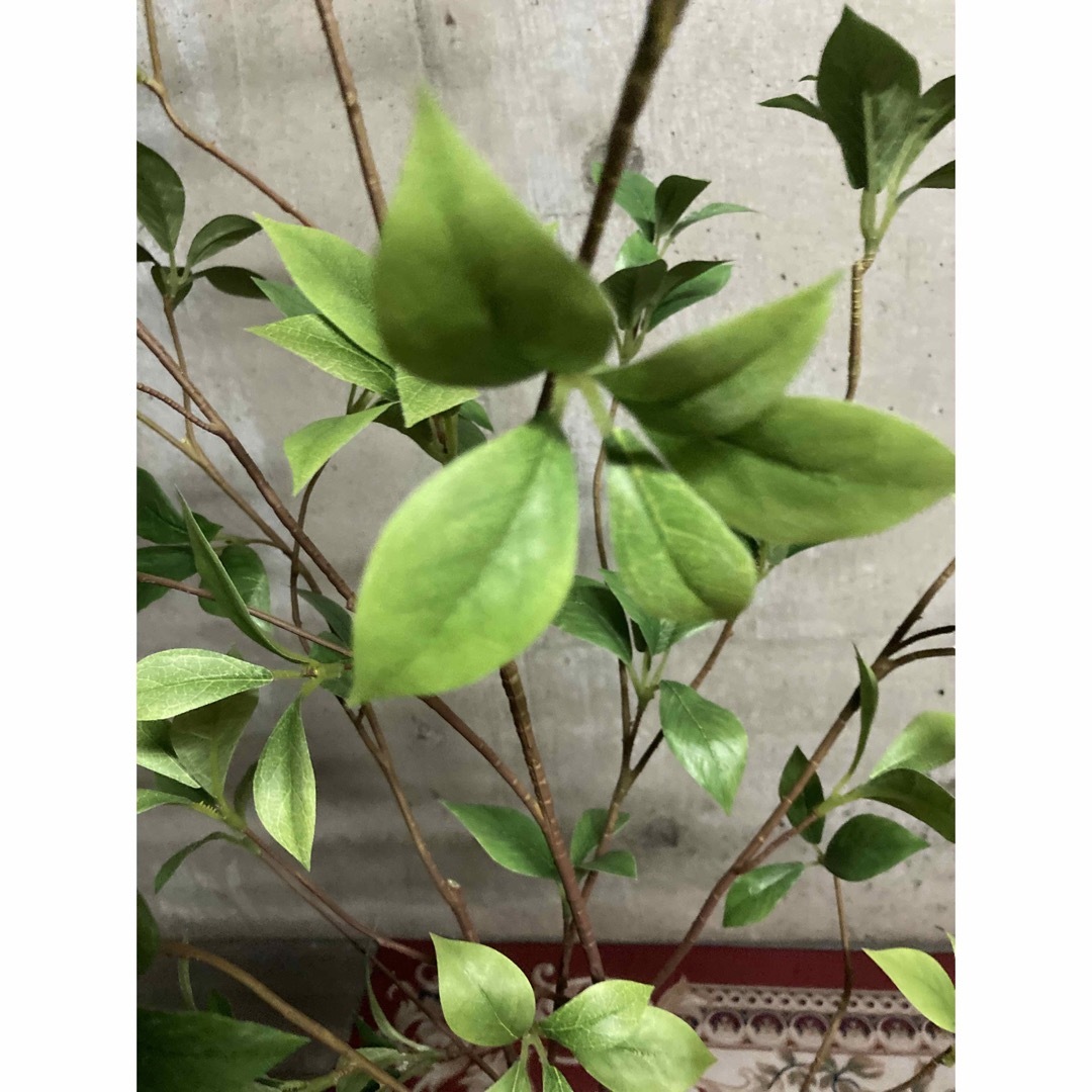 光触媒 人工観葉植物 ウォールグリーン フェイクグリーン 光触媒 人工観葉植物 ウォールグリーン フェイクグリーン
