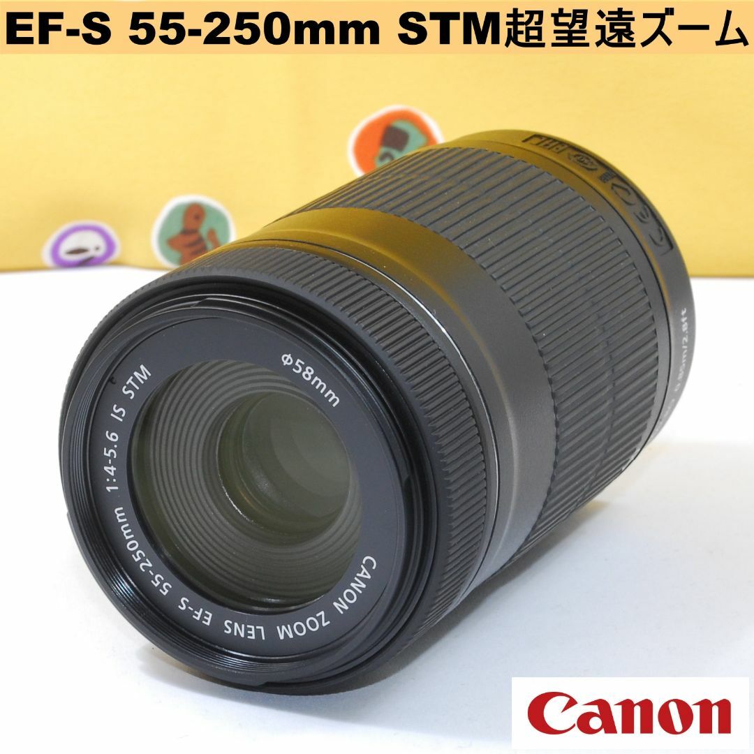 スマホ/家電/カメラレンズプロテクタ付★美品 超望遠 STM★CANON EF-S 55-250mm