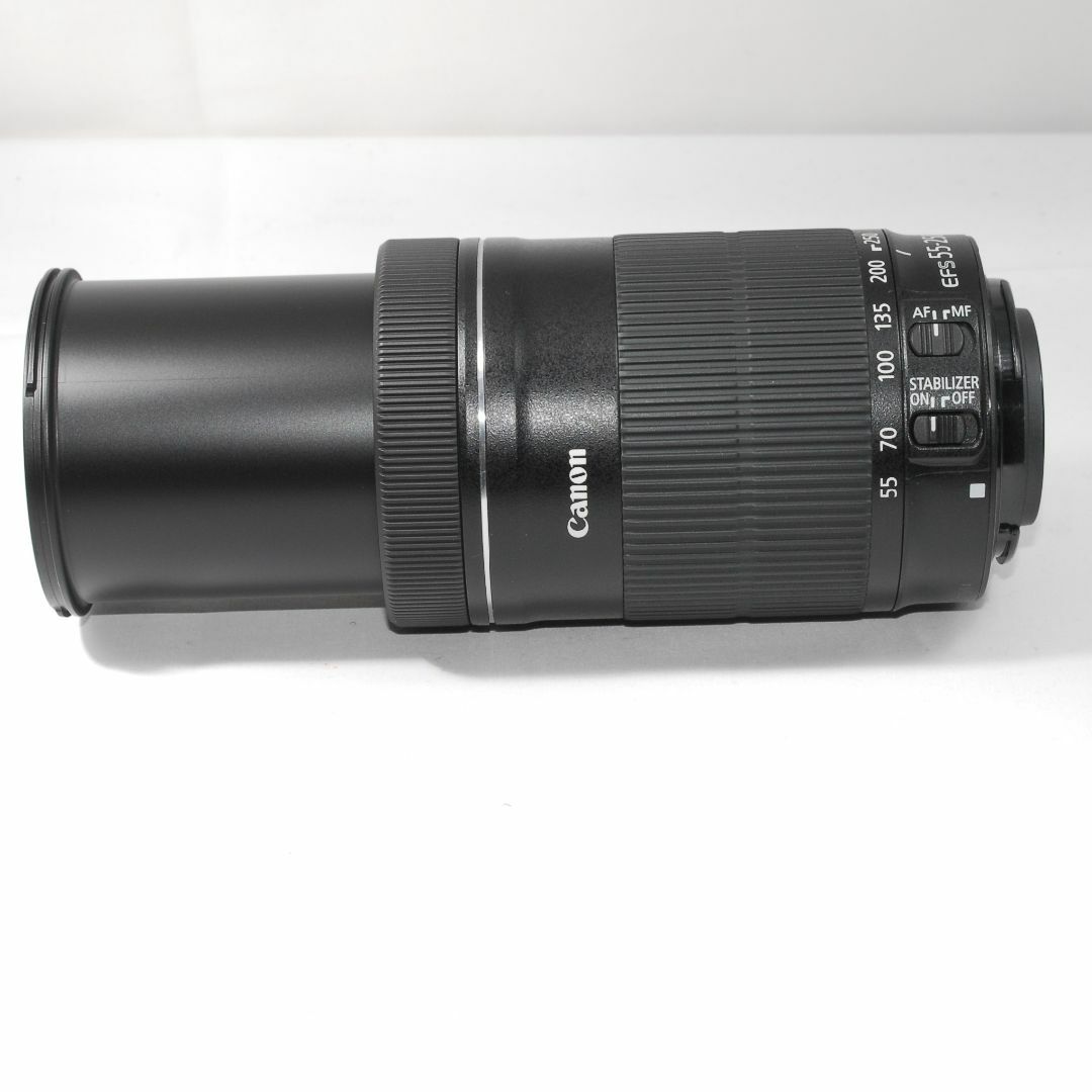 レンズプロテクタ付★美品 超望遠 STM★CANON EF-S 55-250mm