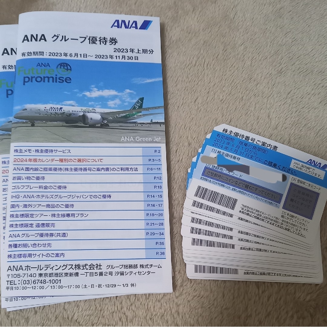 ANAグループ優待券　冊子 チケットの乗車券/交通券(航空券)の商品写真